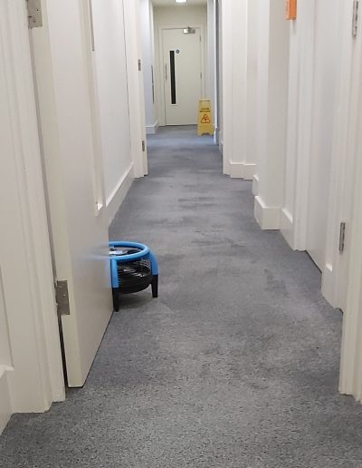 Fast drying communal hallway carpets