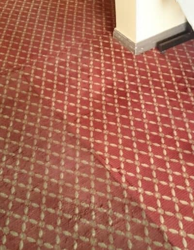 Greasy dirty restaurant carpet cleaned