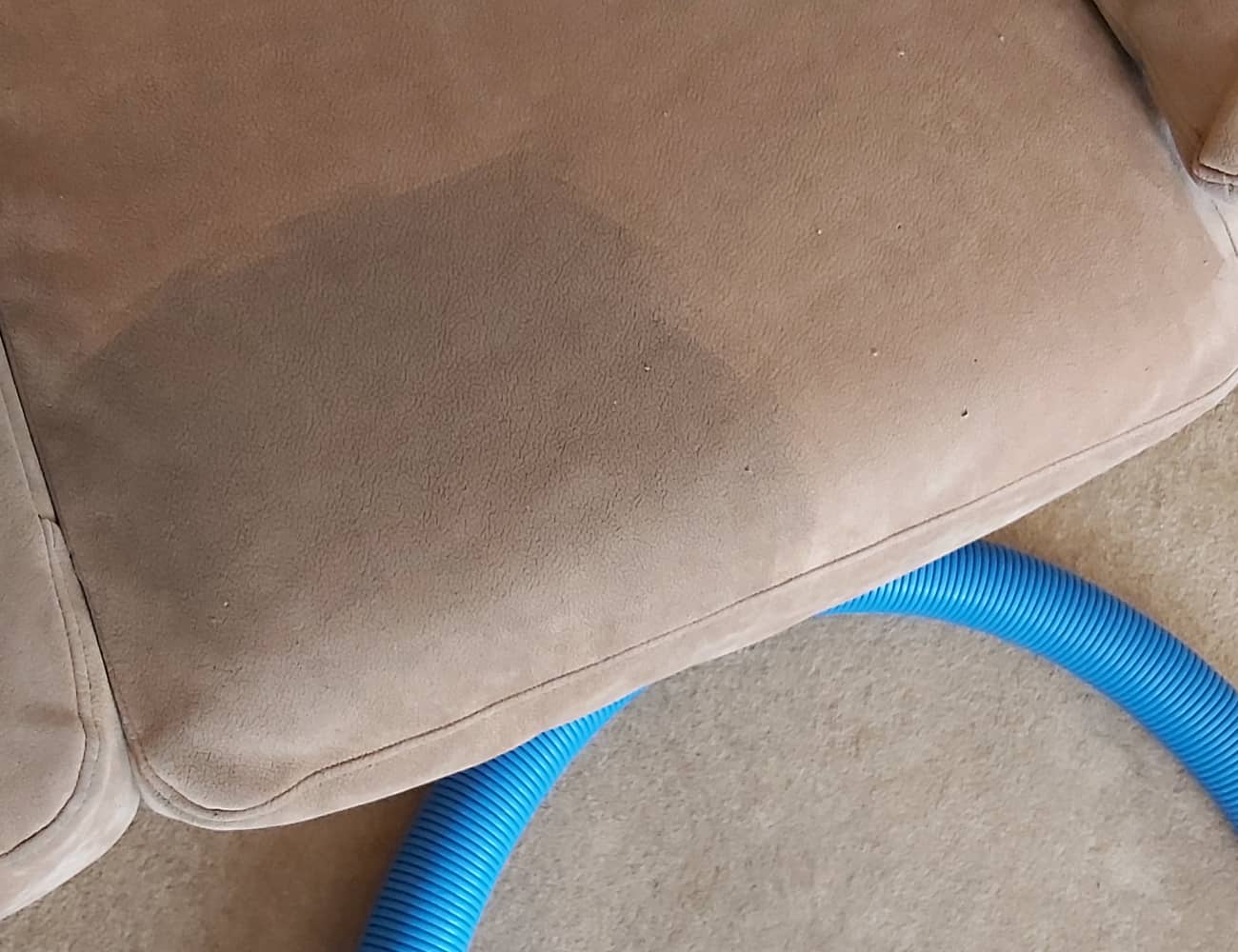 Sofa during cleaning