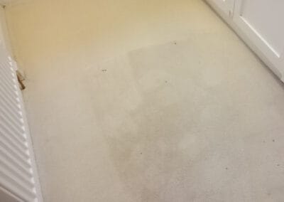 Bedroom carpet cleaned