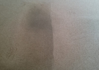 Very dirty carpet looking great again