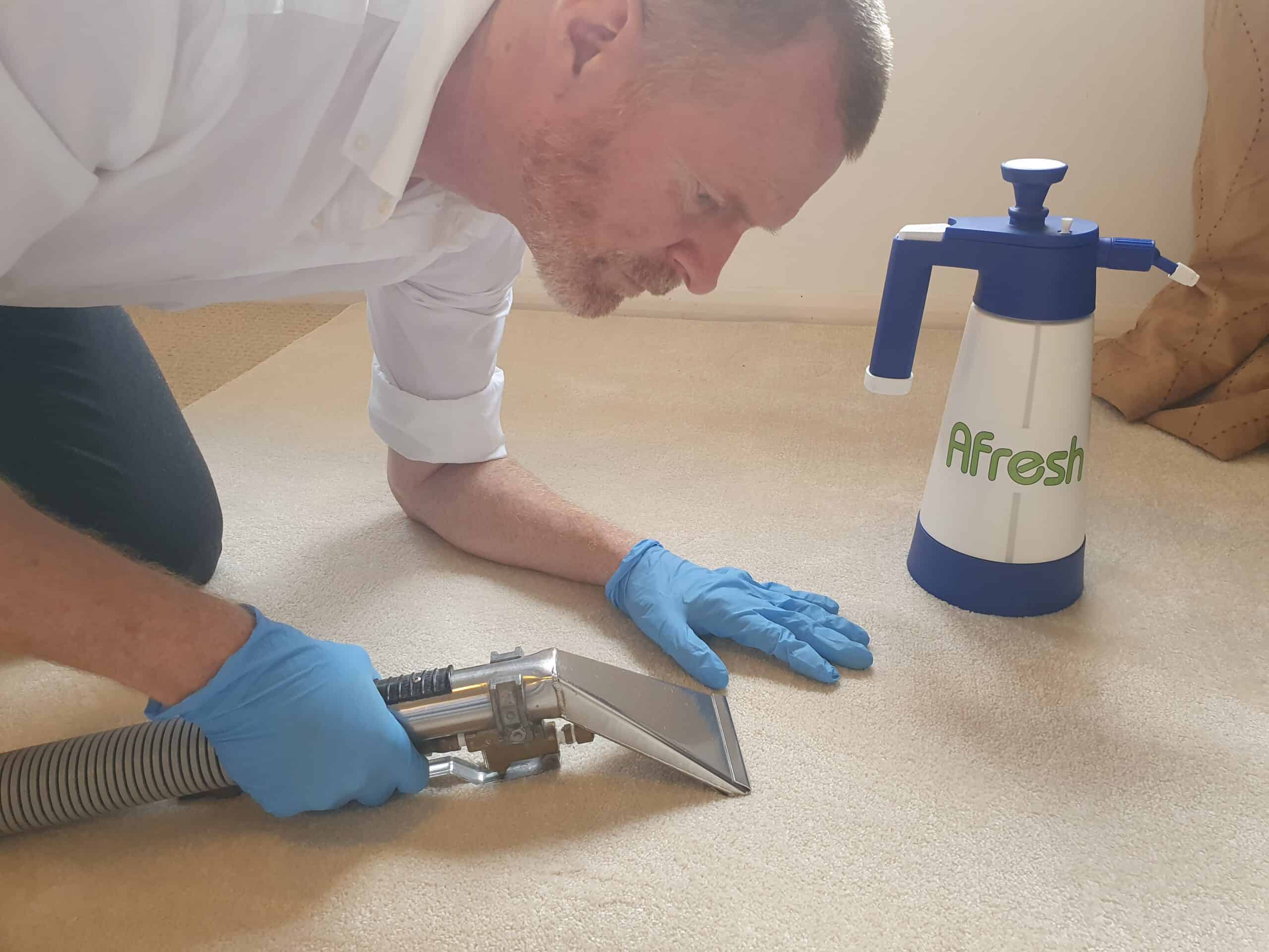 Afresh owner spotting carpet