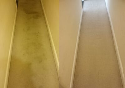 Hallway carpet dirty then clean after